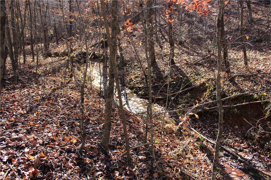 1662 Ralph Joyce Road Sandy Ridge, NC 27046 - Photo 33 of 36