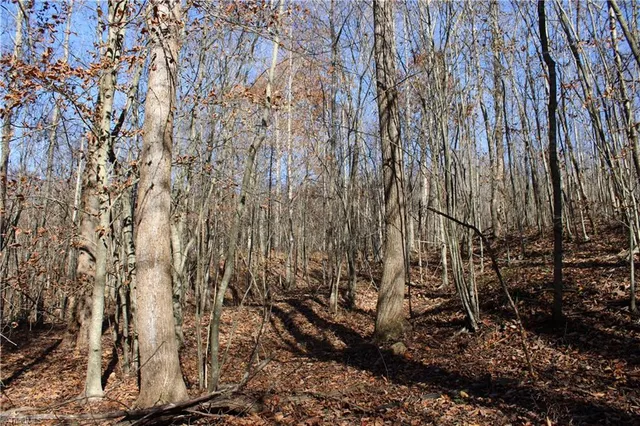 $323,000 | 1662 Ralph Joyce Road, Sandy Ridge, NC 27046