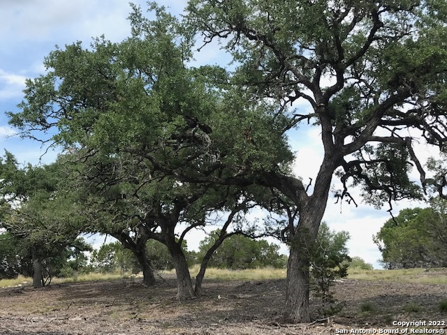 Parcel 17 Rio Lantana Pipe Creek, TX 78063 - Photo 2 of 17