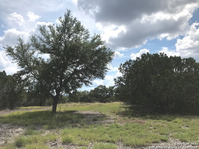 Parcel 17 Rio Lantana Pipe Creek, TX 78063 - Photo 3 of 17