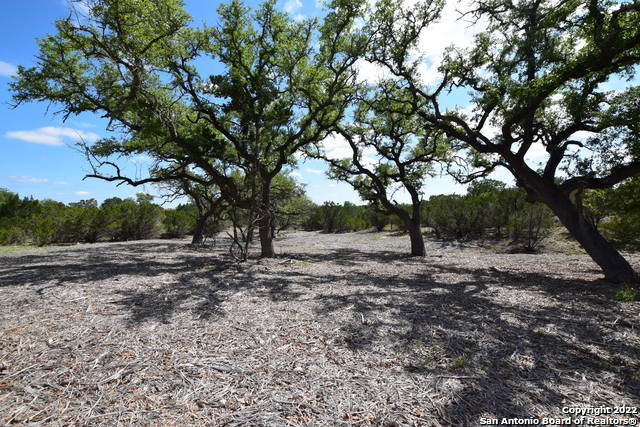 Parcel 17 Rio Lantana Pipe Creek, TX 78063 - Photo 4 of 17