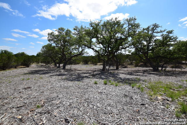 Parcel 17 Rio Lantana Pipe Creek, TX 78063 - Photo 5 of 17