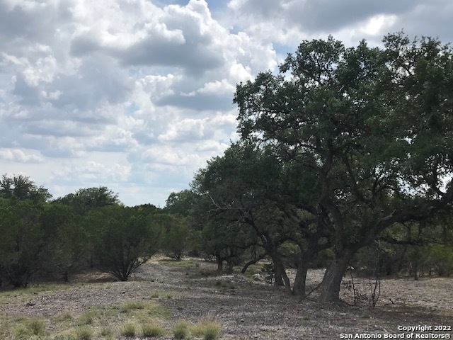 Parcel 17 Rio Lantana Pipe Creek, TX 78063 - Photo 8 of 17
