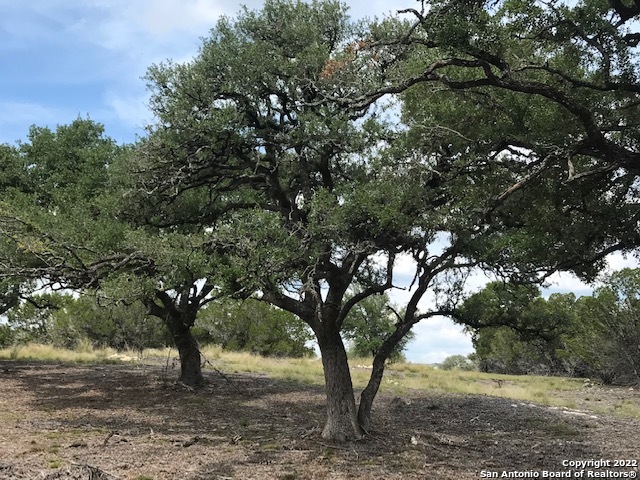 Parcel 17 Rio Lantana Pipe Creek, TX 78063 - Photo 9 of 17
