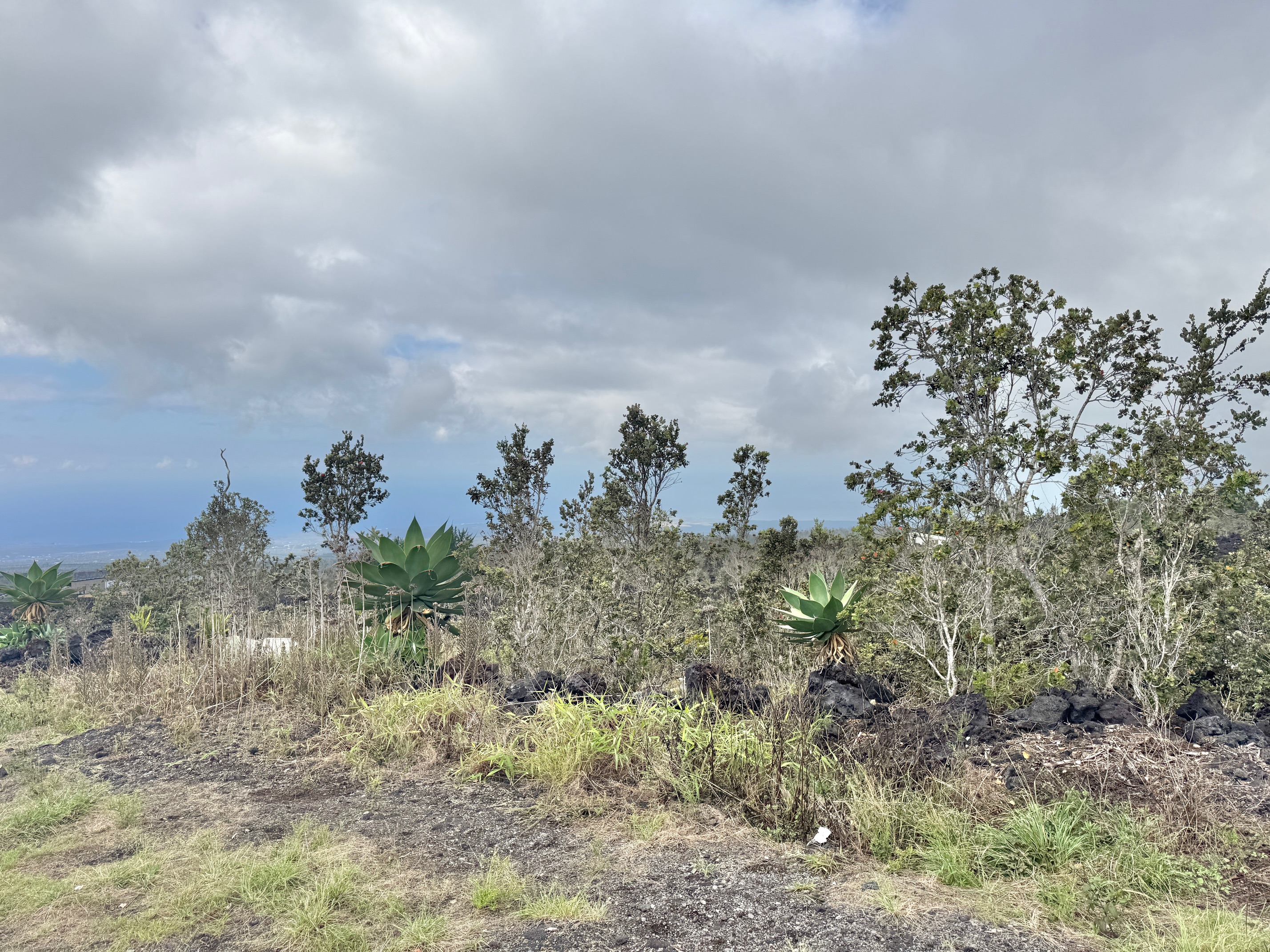 24 Bamboo Lane Ocean View, HI 96704 - Photo 6 of 10 a view of a field