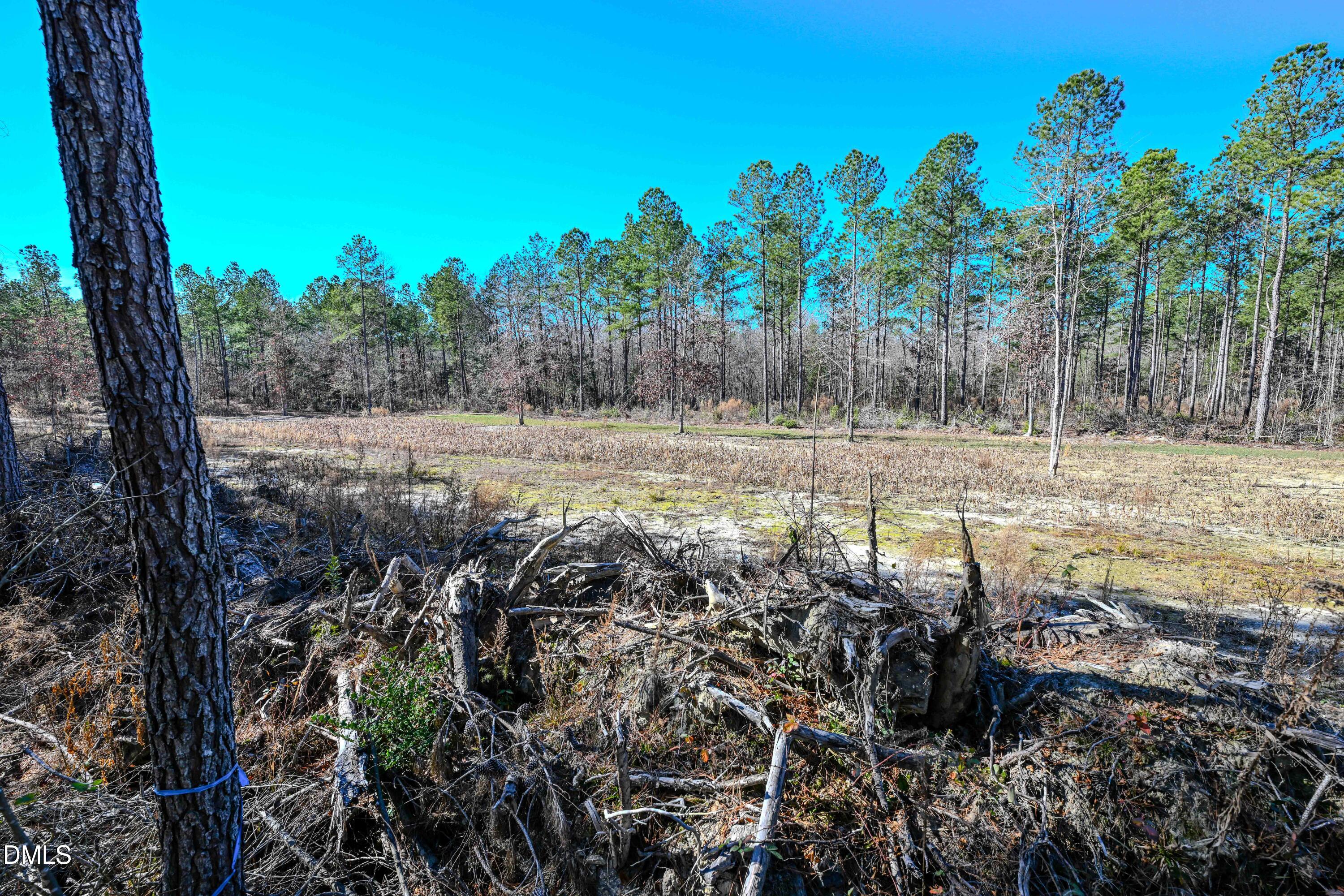 2729 McNeill Hobbs Road Bunnlevel, NC 28323 - Photo 60 of 75 063