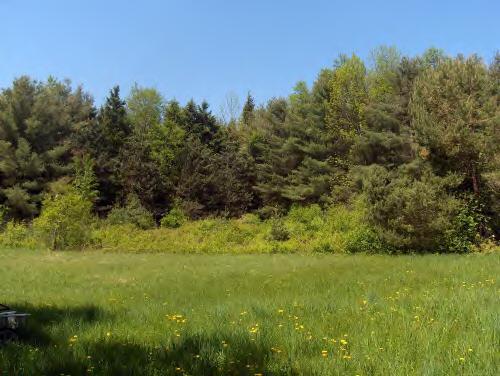 149 Tyringham Road Monterey, MA 01245 - Photo 6 of 6