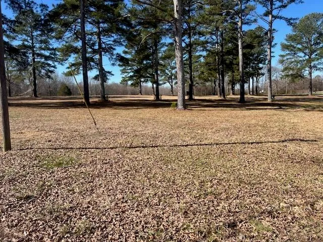 $154,900 | 0 Black Place/bramblewood Drive, Savannah, TN 38372