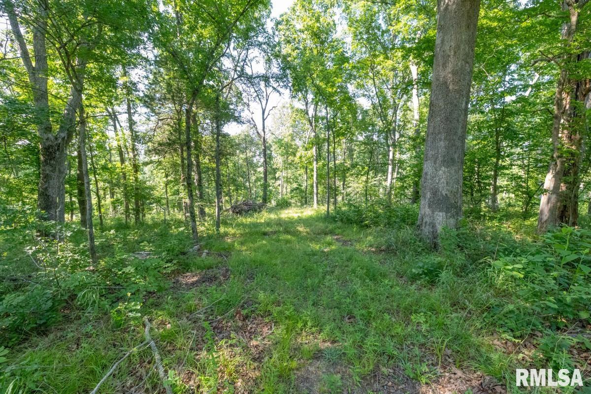 0 Tom Dick Hill Road Stonefort, IL 62987 - Photo 37 of 62