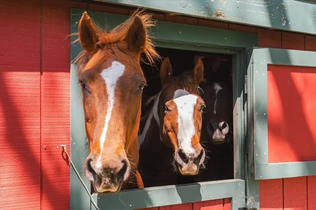 $999,000 | 4631 County Hwy A, Oregon, WI 53575