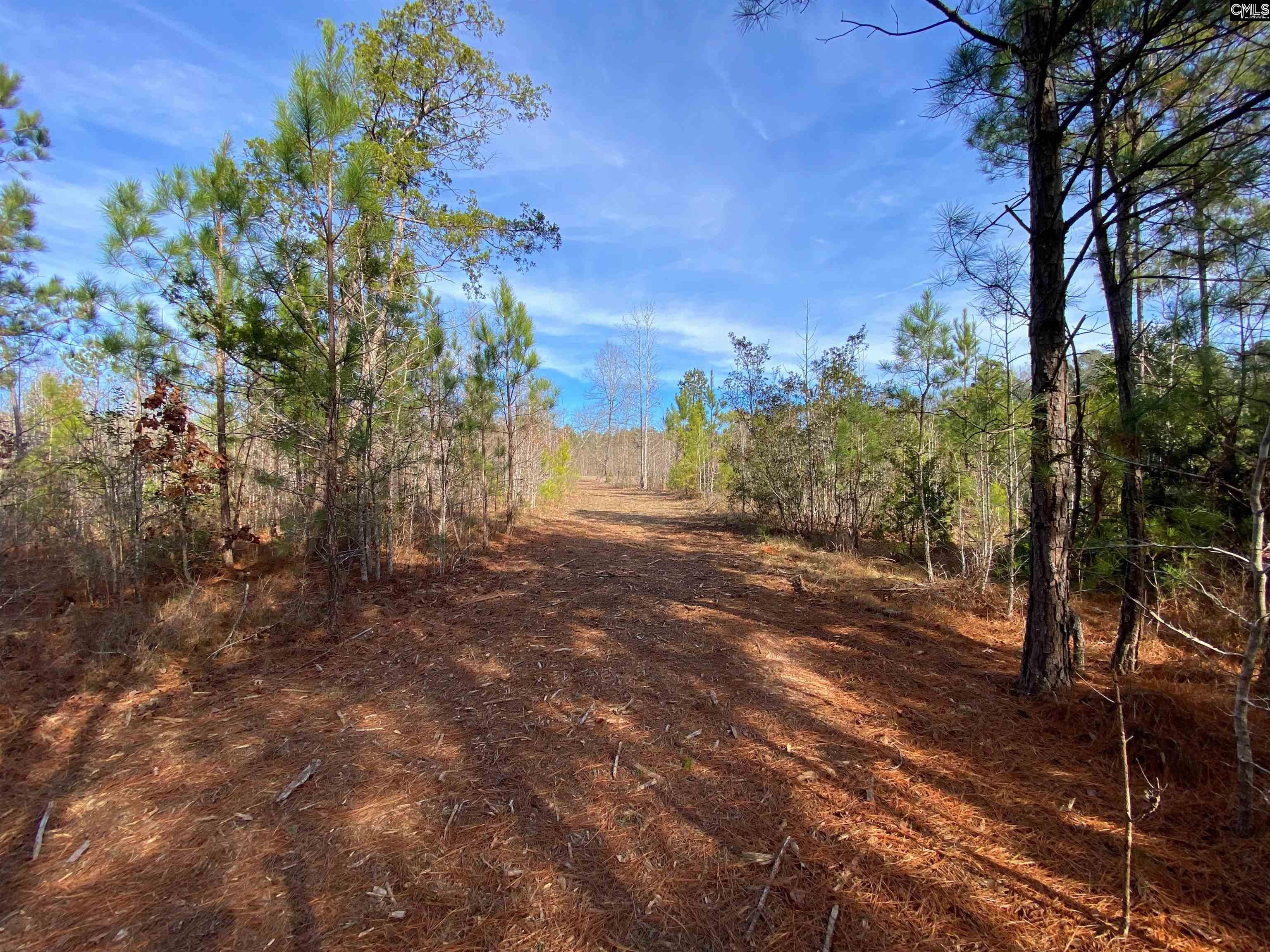 900 Pineywood Road Saluda, SC 29138 - Photo 13 of 23