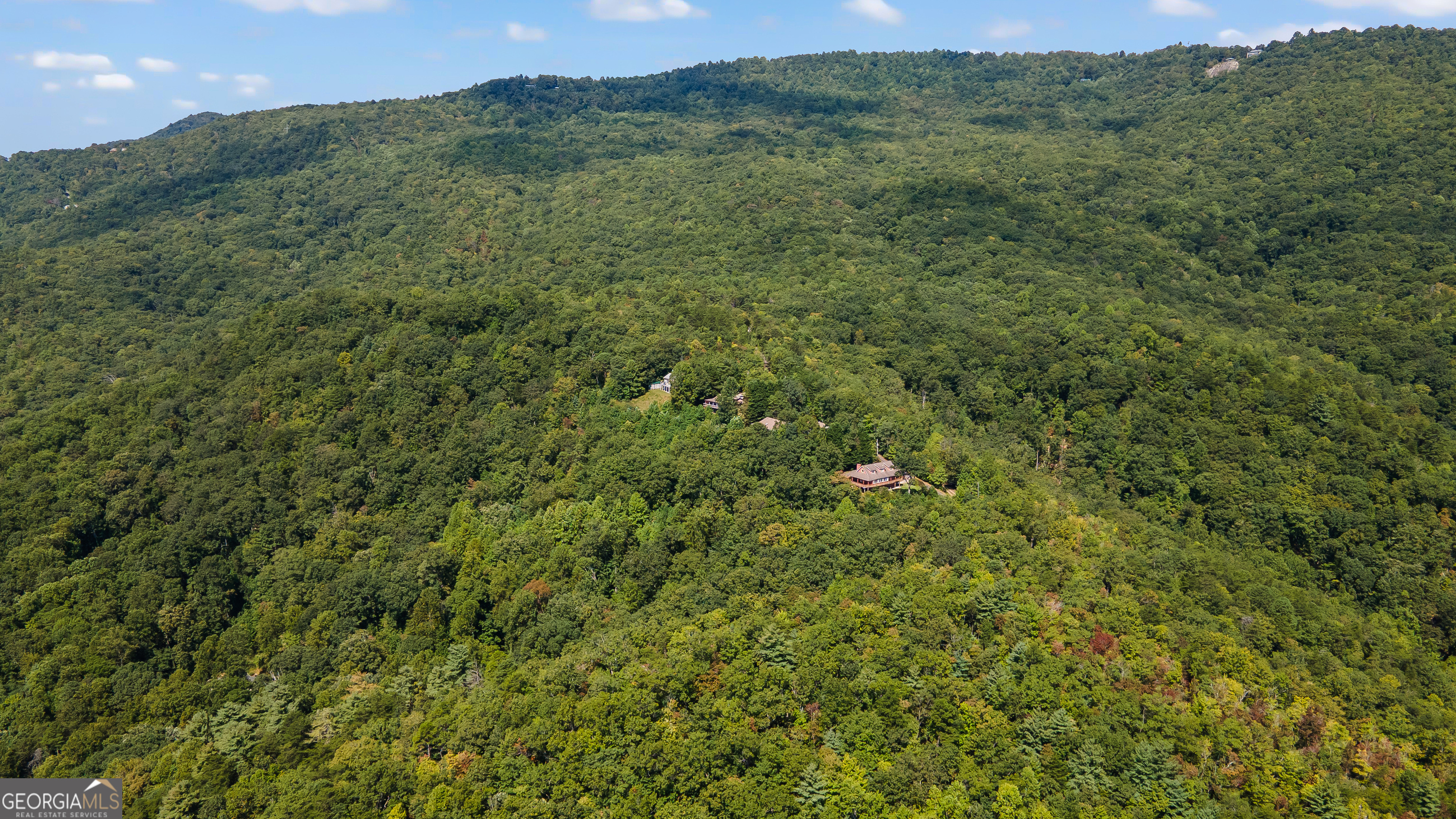 1387 Valley Street Clayton, GA 30525 - Photo 57 of 59 a view of a lush green forest with lush green forest