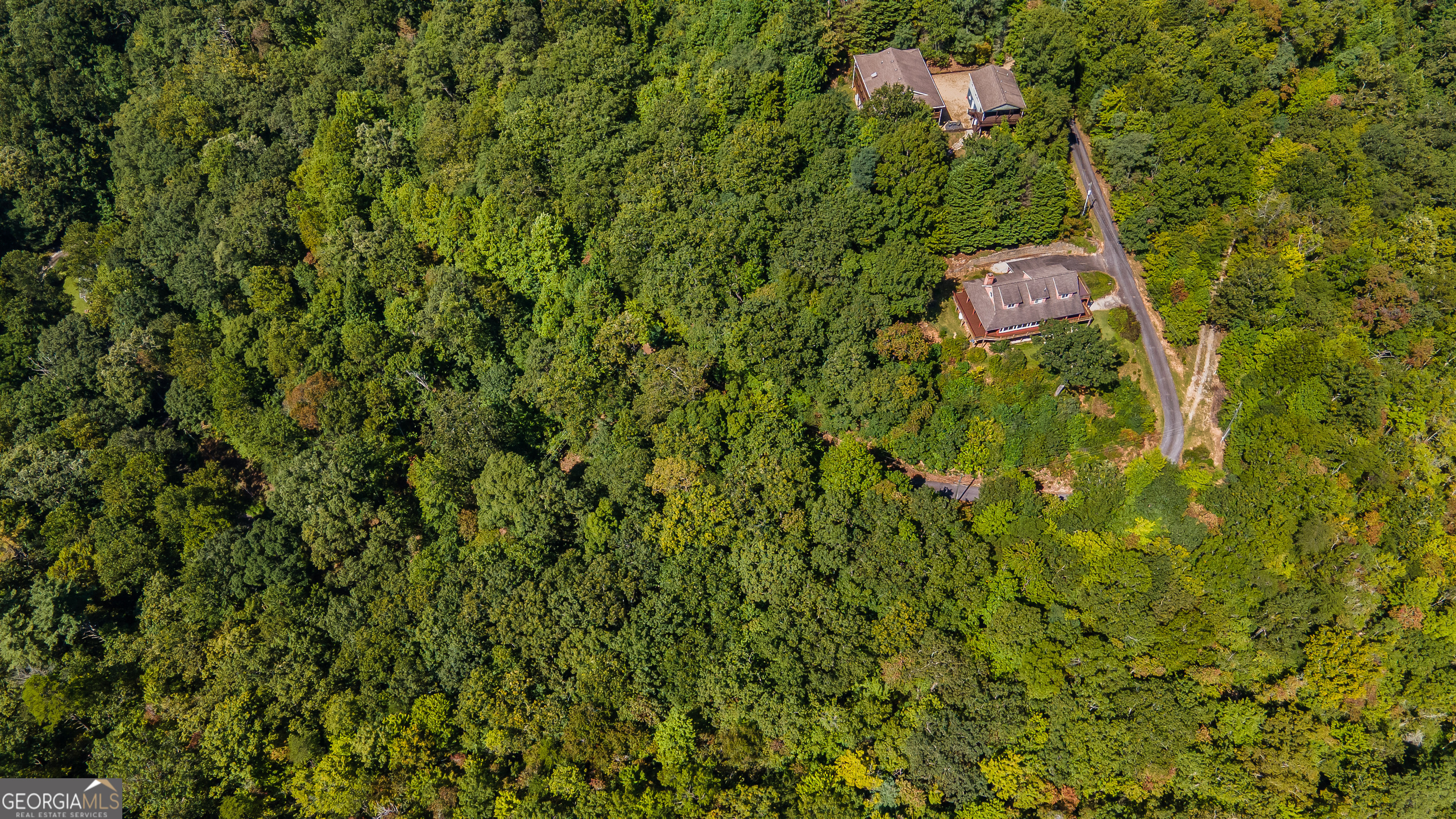 1387 Valley Street Clayton, GA 30525 - Photo 58 of 59 a view of a house with a lush green forest