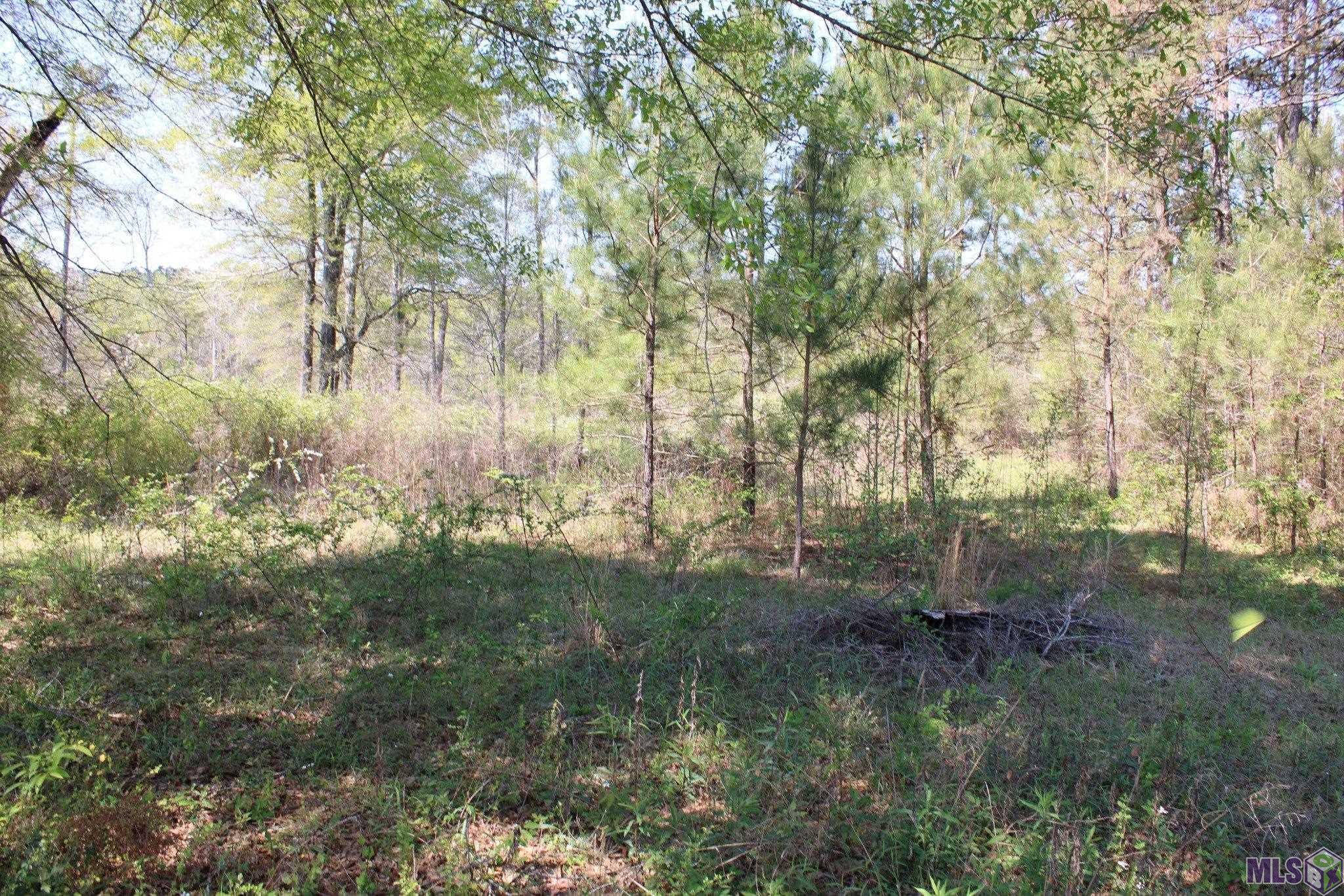 0 Breland Road South Bogalusa, LA 70427 - Photo 10 of 22