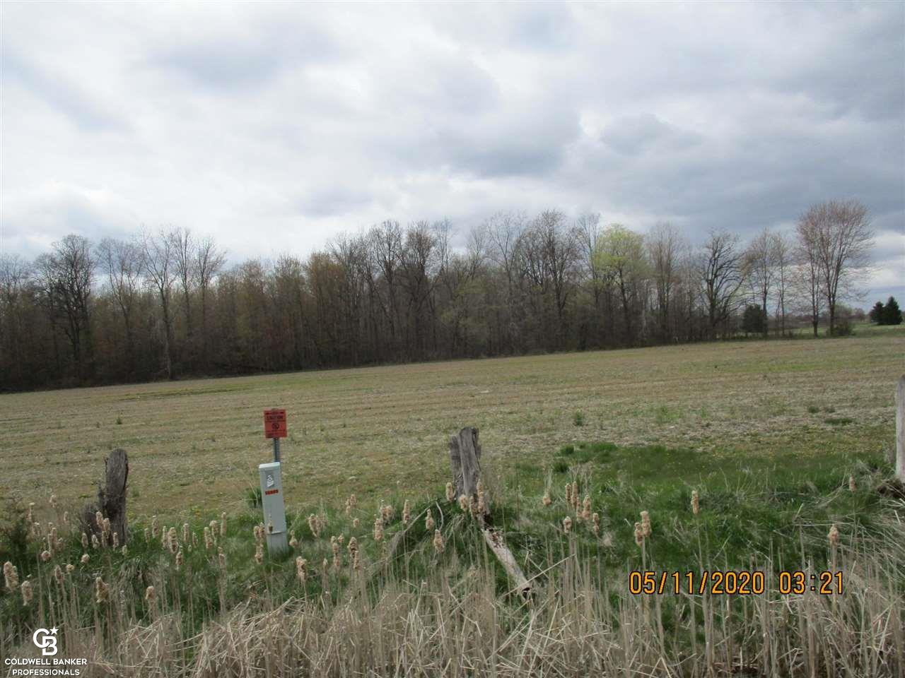 0 30 Mile Road New Haven, MI 48050 - Photo 5 of 5
