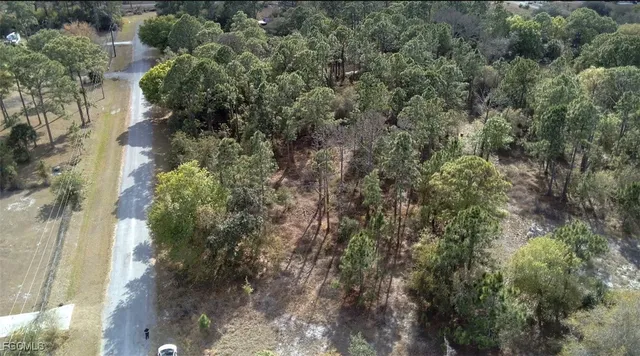 a view of a house with a tree