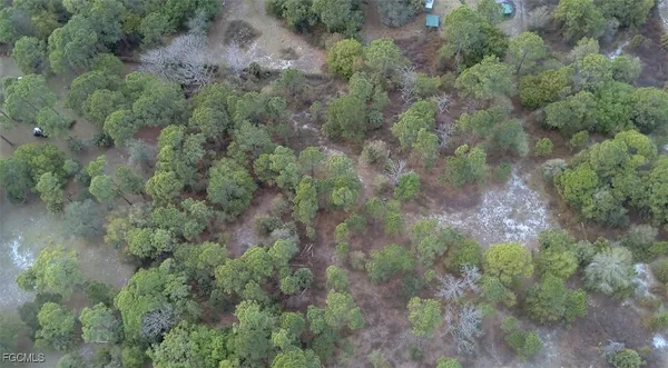 a view of a forest with trees and houses