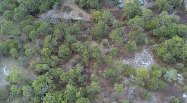 a view of a forest with trees and houses