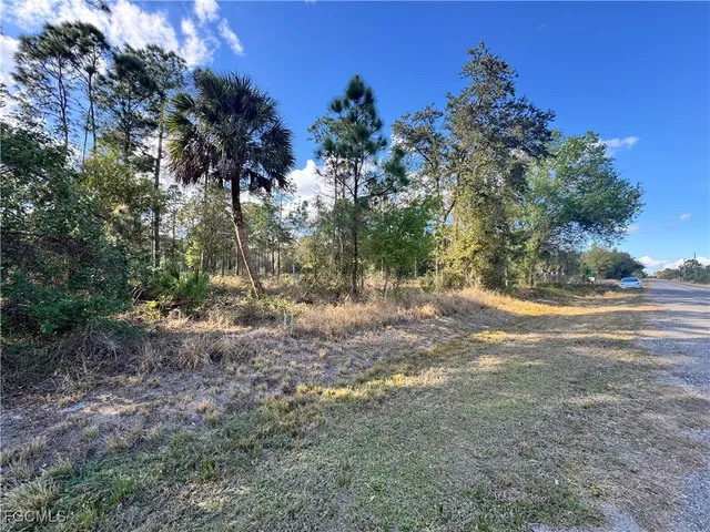 a view of a tree in the middle of a yard