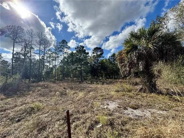 a view of a yard with a tree