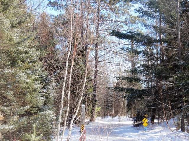 Near Adams Road Eagle River, WI 54521 - Photo 25 of 37 Gallery Image 25