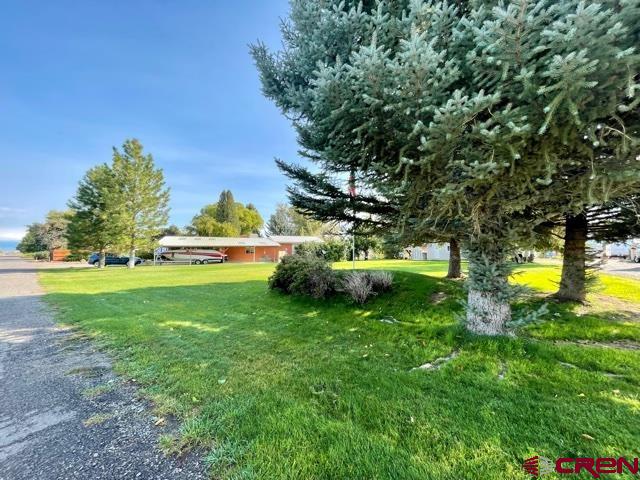 62768 Spring Creek Road Montrose, CO 81403 - Photo 11 of 35 Gallery Image 11