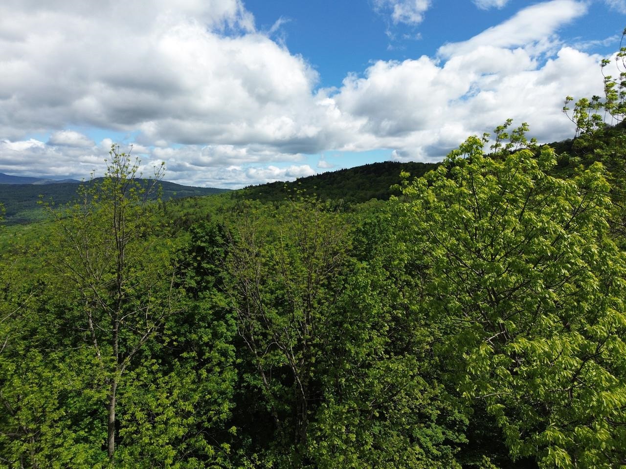 197 Sugar Ledge Road, Unit 4 Warren, VT 05674 - Photo 10 of 17
