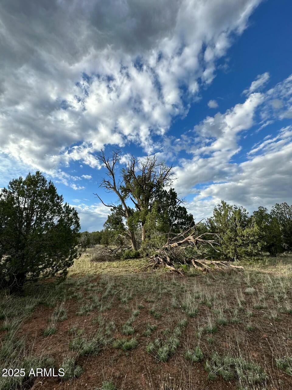 391 Juniper Ranch Road, Unit 109 Ash Fork, AZ 86320 - Photo 12 of 14 IMG_1576
