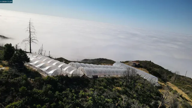 an aerial view of houses covered by trees