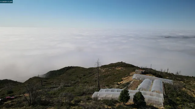 a view of houses with city and green space