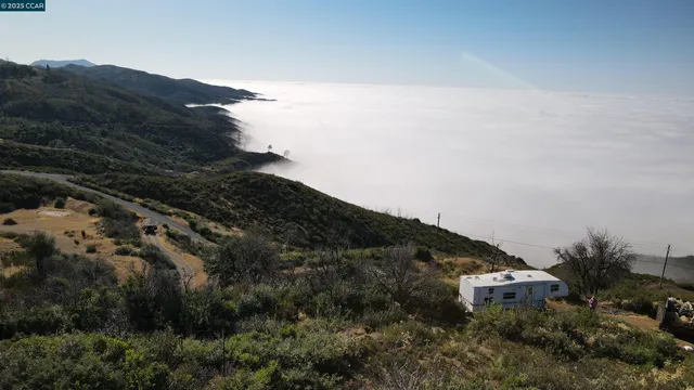 a view of a dry plant in a bathroom