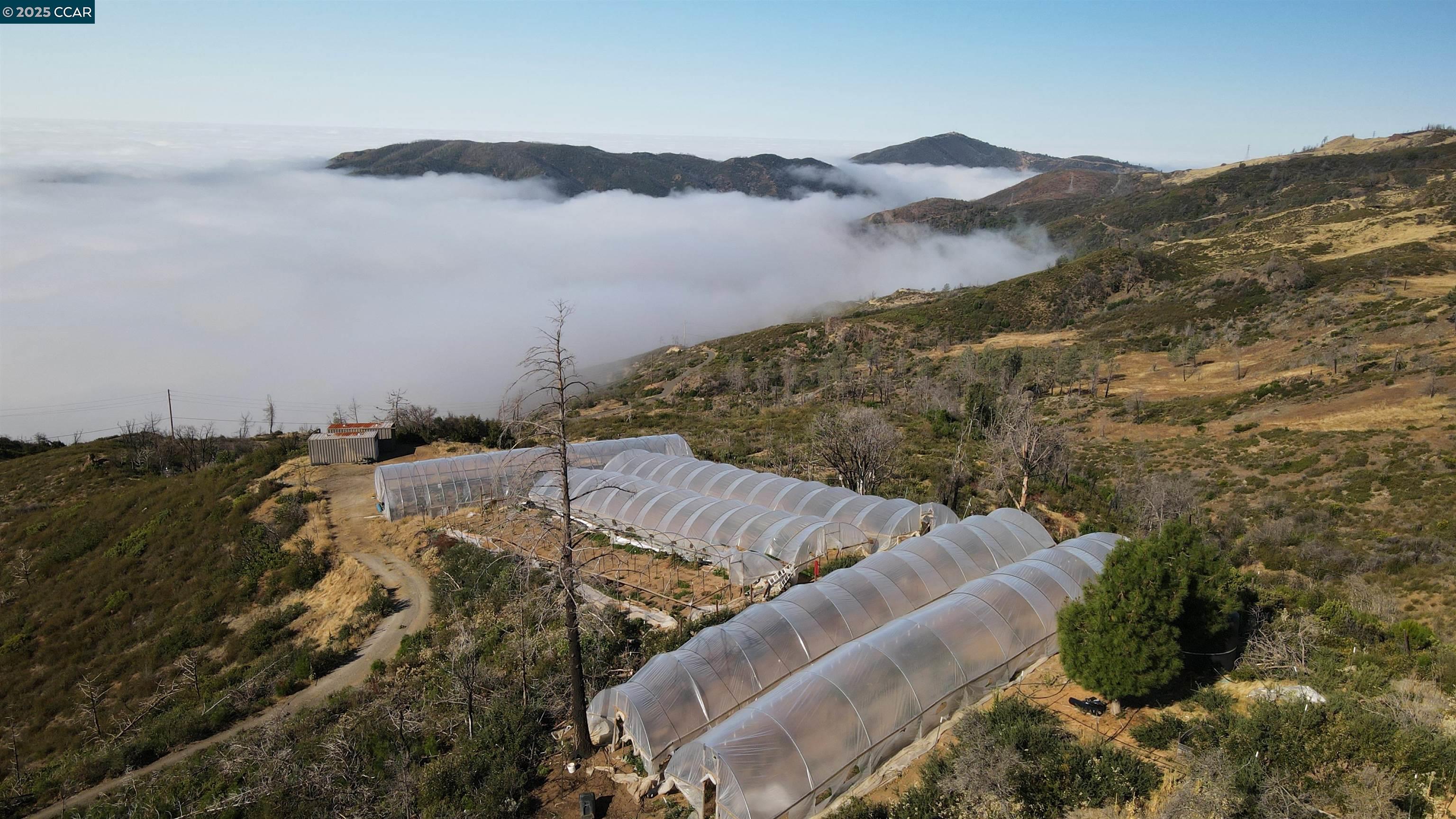 12700 Pine Flat Road Cloverdale, CA 95425 - Photo 3 of 20 a view of a house with a mountain and a forest
