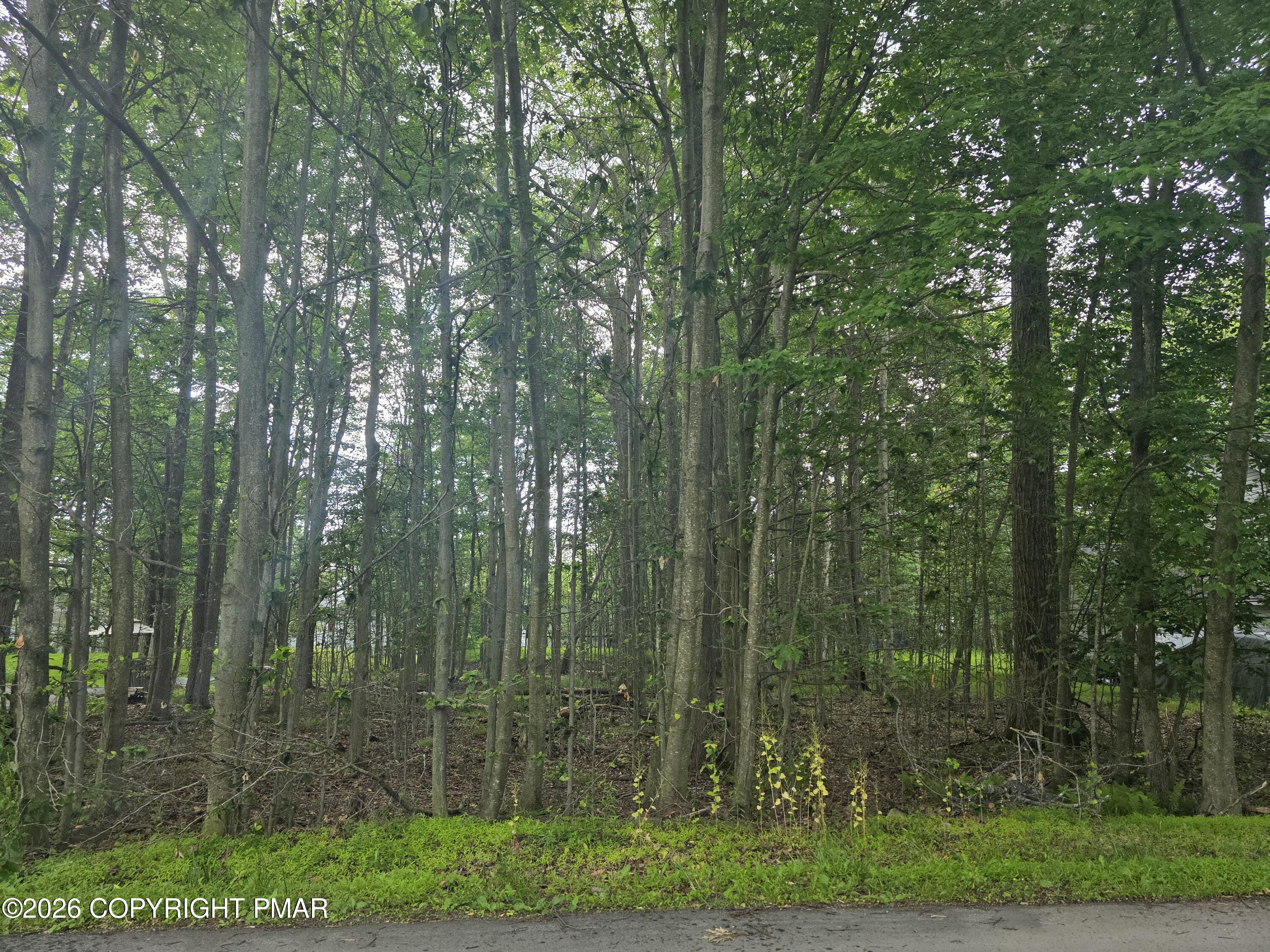 111 Mayfair Road Tobyhanna, PA 18466 - Photo 1 of 3 20260629_102247