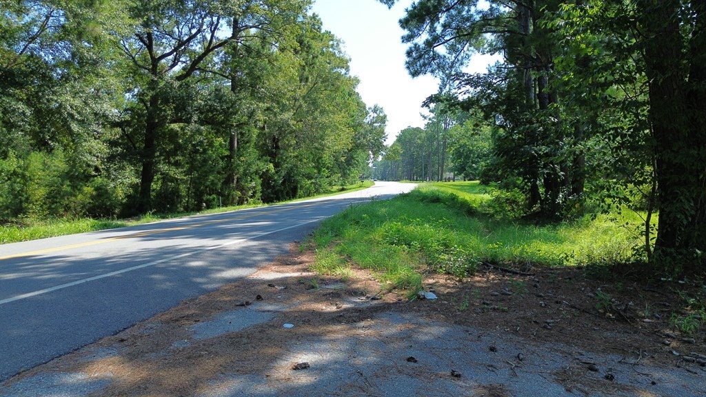 220 Dillon Road Thomasville, GA 31757 - Photo 14 of 56 Dillon Road View (East)