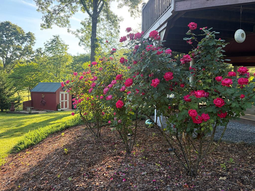 157 Sims Road Hiawassee, GA 30546 - Photo 35 of 50