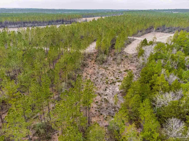 a view of a yard with an outdoor space