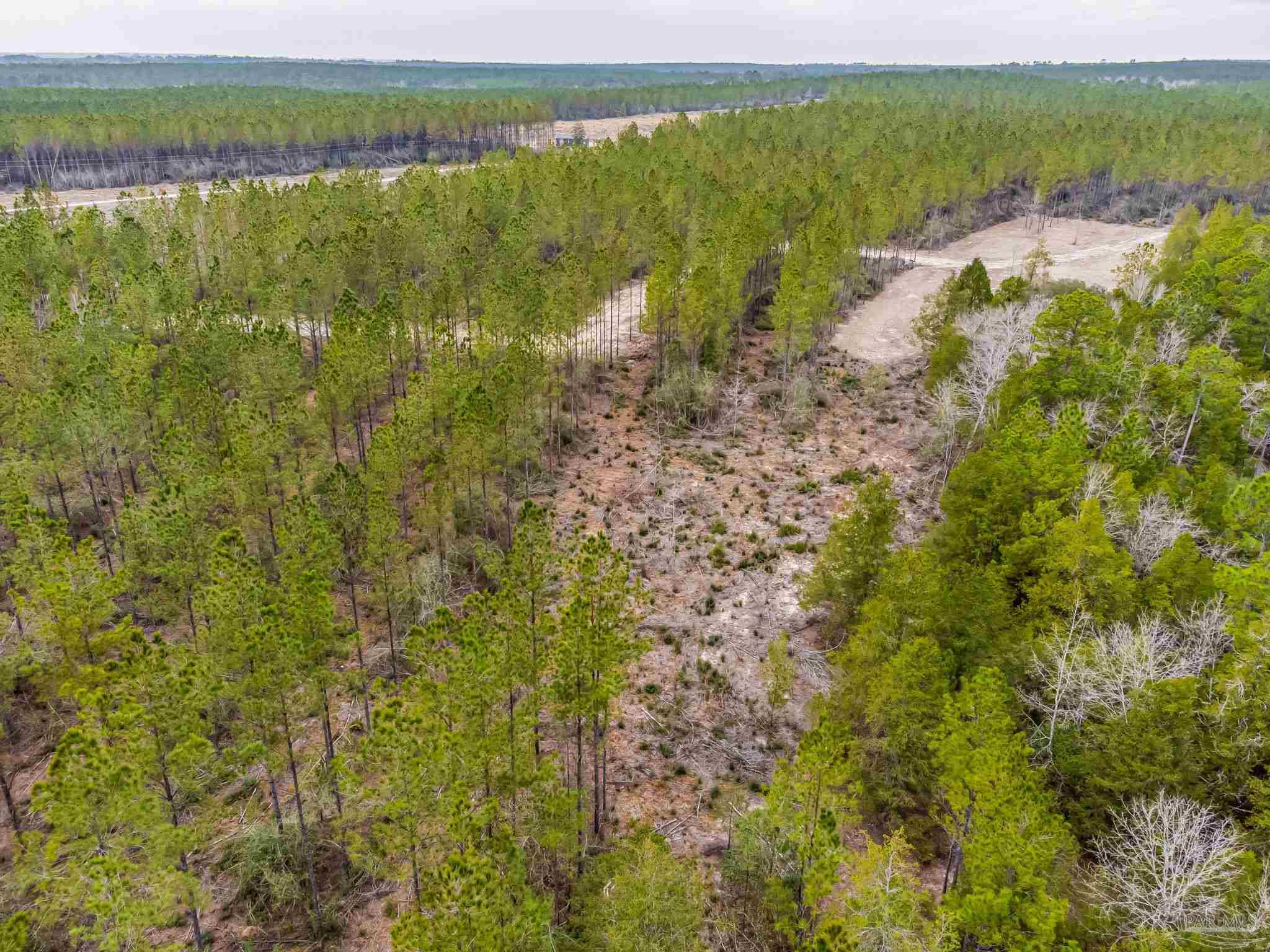 8997 Indian Ford Road, Unit 44 23 ACRES Milton, FL 32570 - Photo 11 of 55 a view of lake with green space