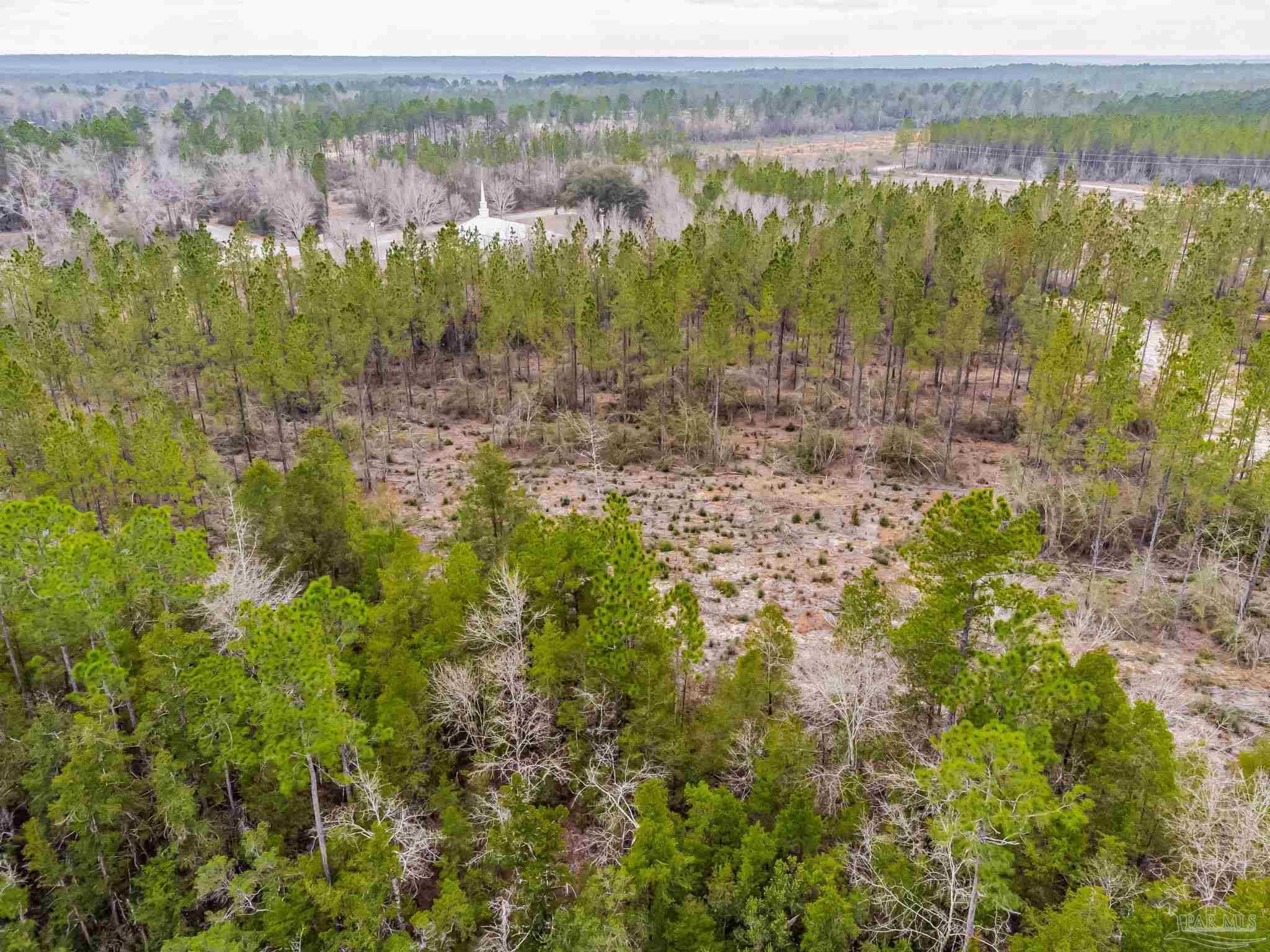 8997 Indian Ford Road, Unit 44 23 ACRES Milton, FL 32570 - Photo 13 of 55 a view of a yard with an outdoor space