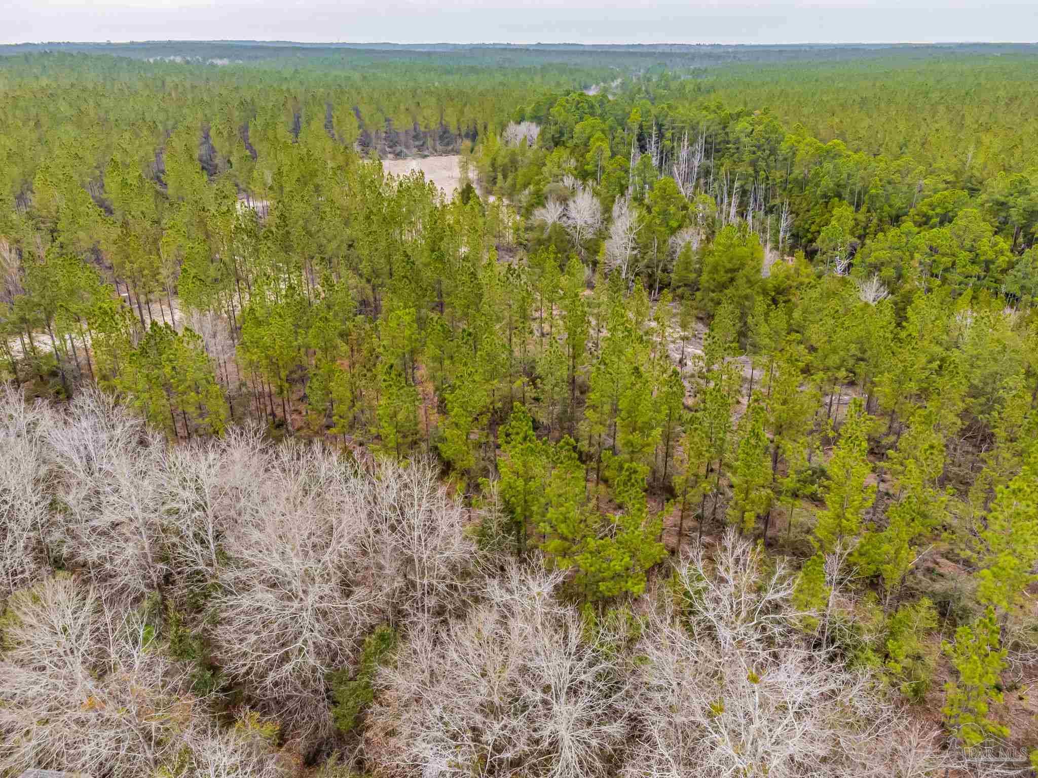 8997 Indian Ford Road, Unit 44 23 ACRES Milton, FL 32570 - Photo 16 of 55 a view of an outdoor space and a lake view