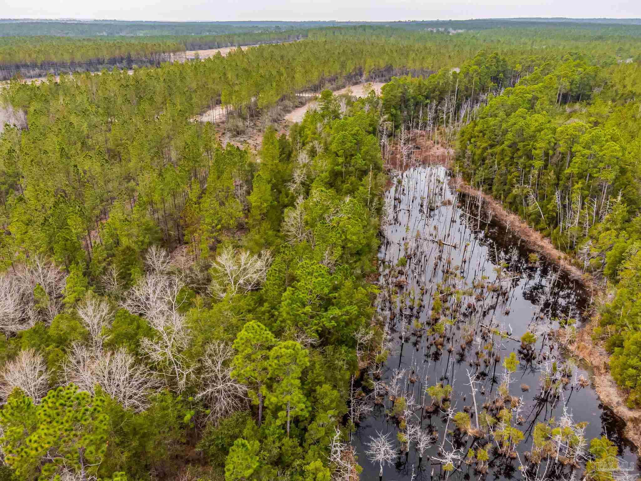 8997 Indian Ford Road, Unit 44 23 ACRES Milton, FL 32570 - Photo 18 of 55 a view of lake and green space