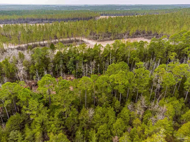 a view of a lake with a mountain in the background