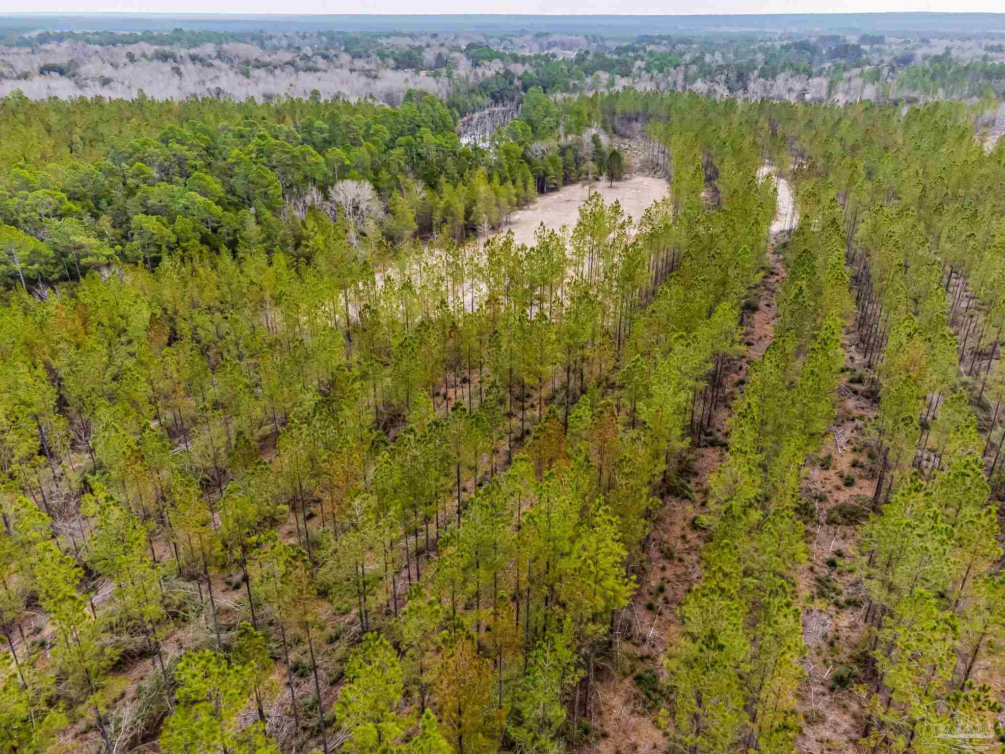 8997 Indian Ford Road, Unit 44 23 ACRES Milton, FL 32570 - Photo 25 of 55 an aerial view of residential houses with outdoor space and trees