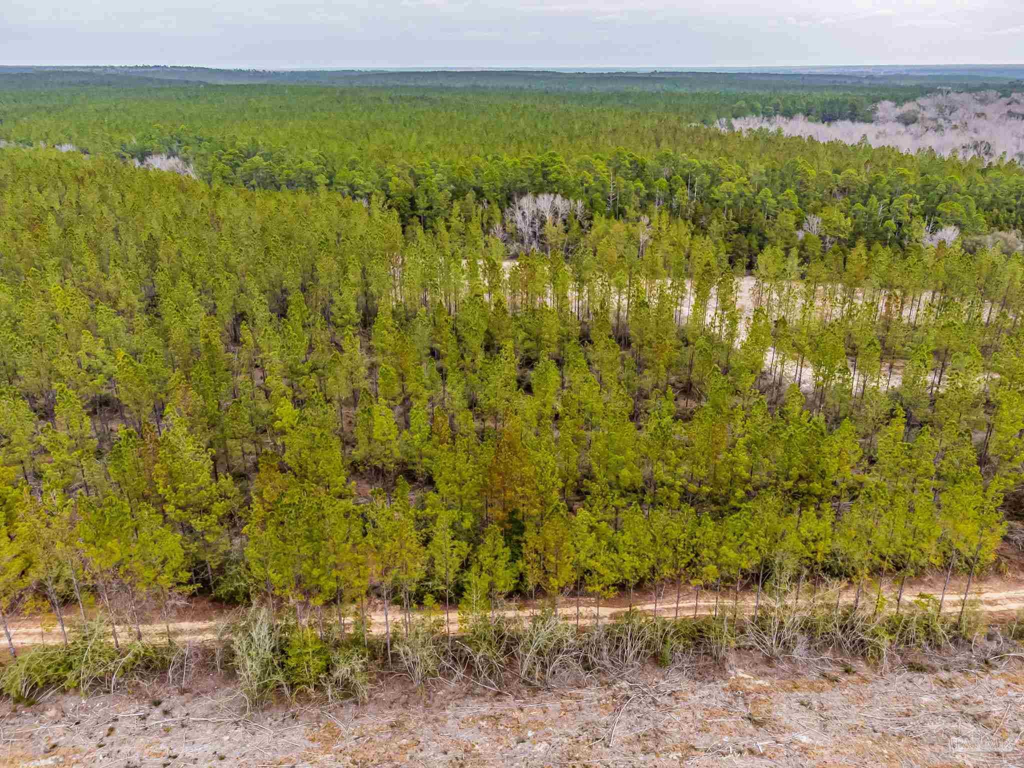 8997 Indian Ford Road, Unit 44 23 ACRES Milton, FL 32570 - Photo 28 of 55 a view of a yard with an ocean