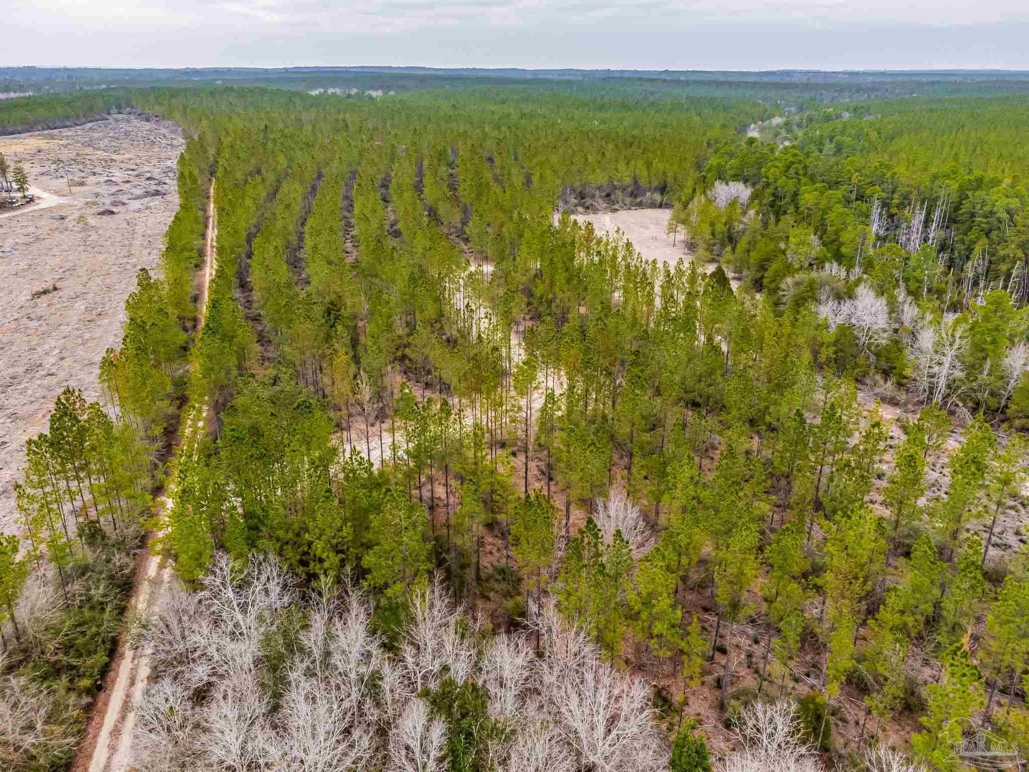 8997 Indian Ford Road, Unit 44 23 ACRES Milton, FL 32570 - Photo 31 of 55 a view of lake view and mountain view