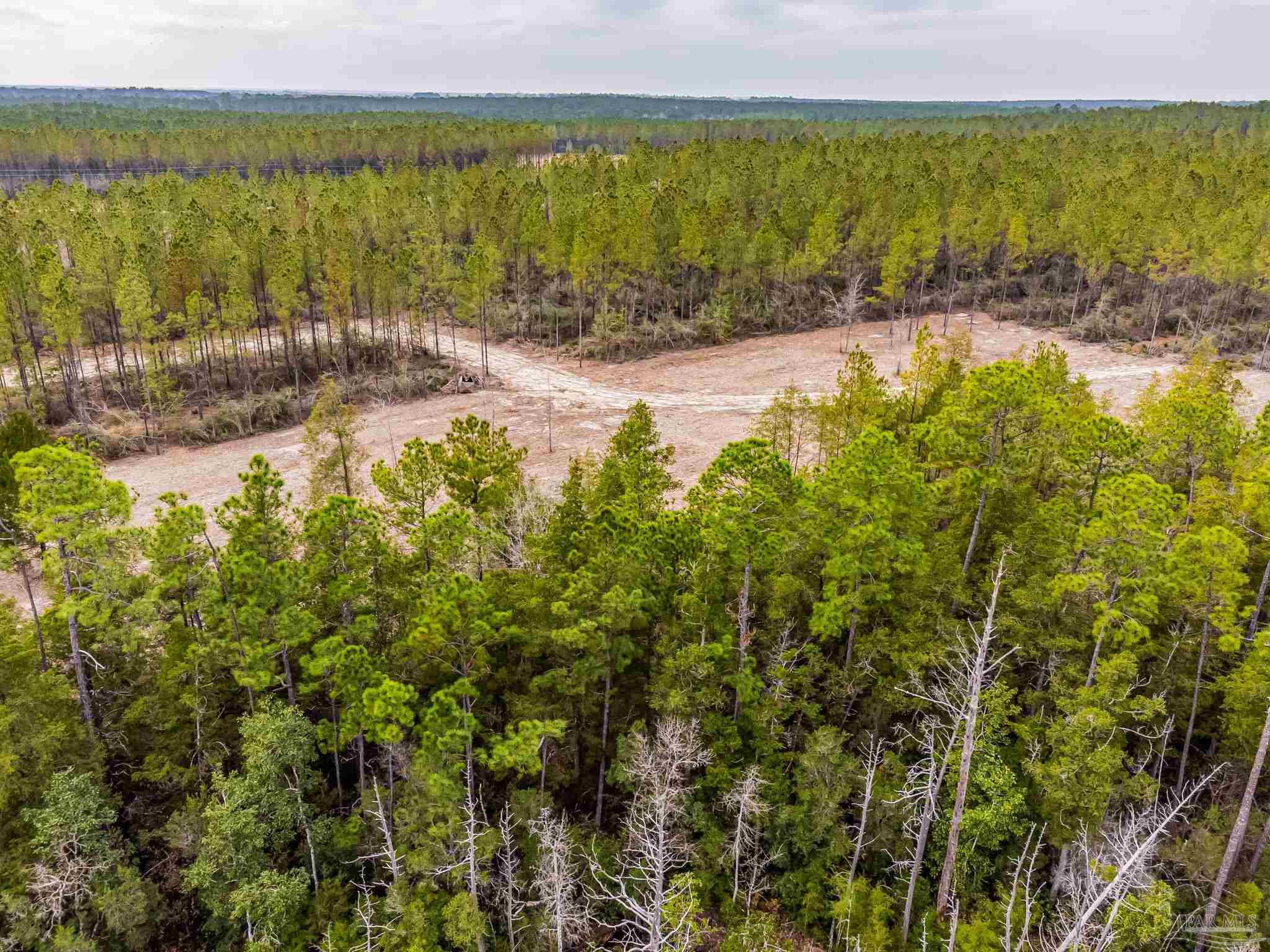 8997 Indian Ford Road, Unit 44 23 ACRES Milton, FL 32570 - Photo 37 of 55 a view of a lake with a beach