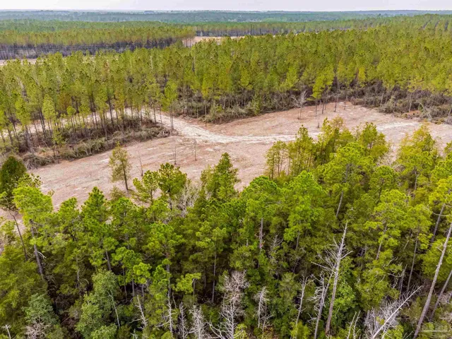 a view of backyard with green space