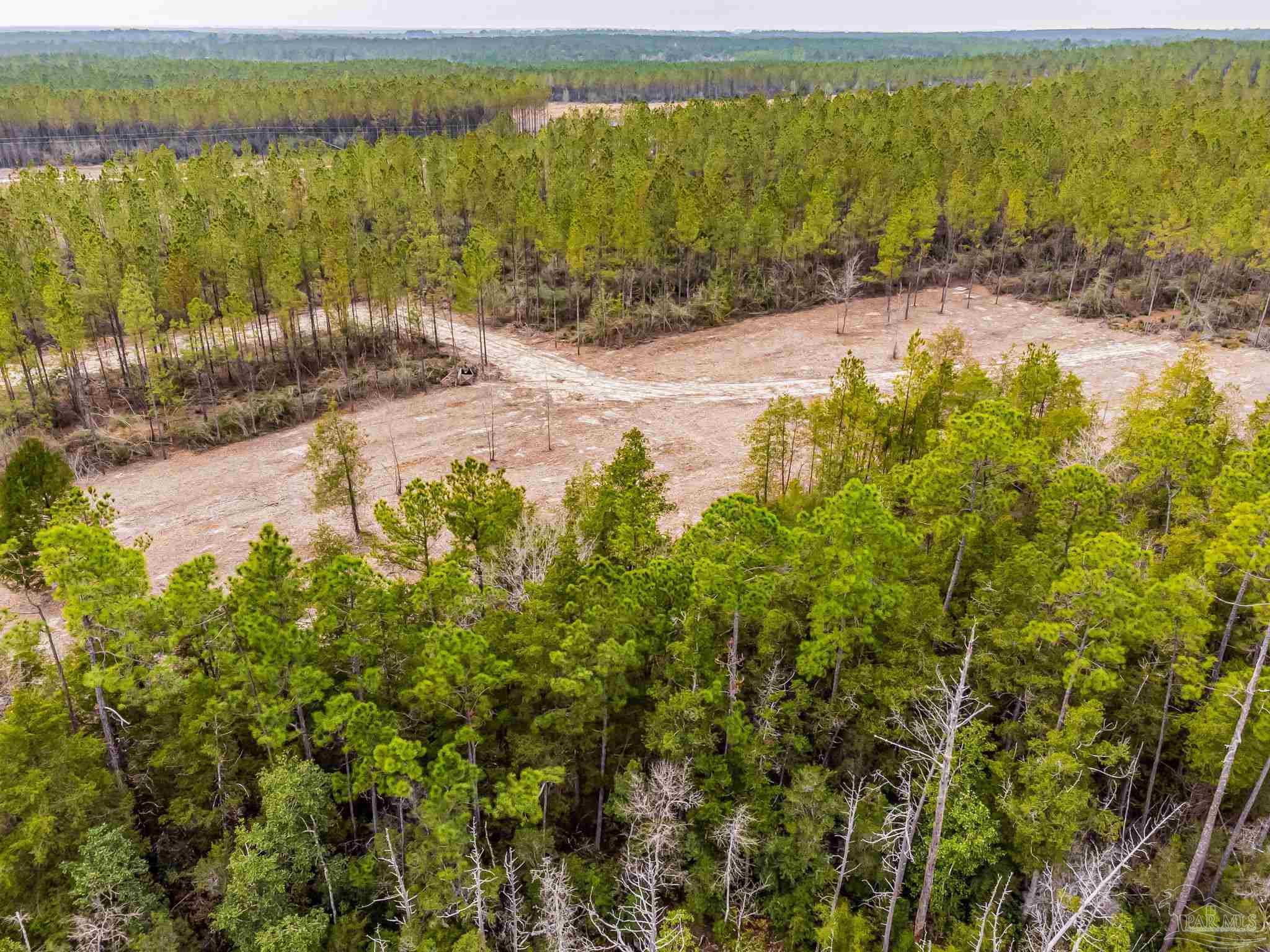 8997 Indian Ford Road, Unit 44 23 ACRES Milton, FL 32570 - Photo 38 of 55 a view of lake view and mountain view