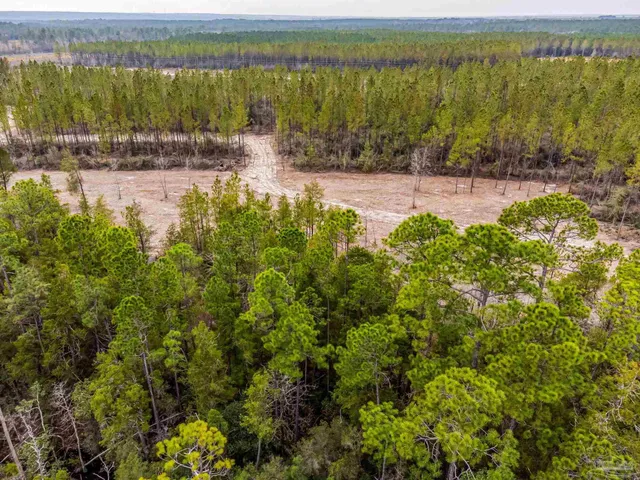 a view of dirt field with trees