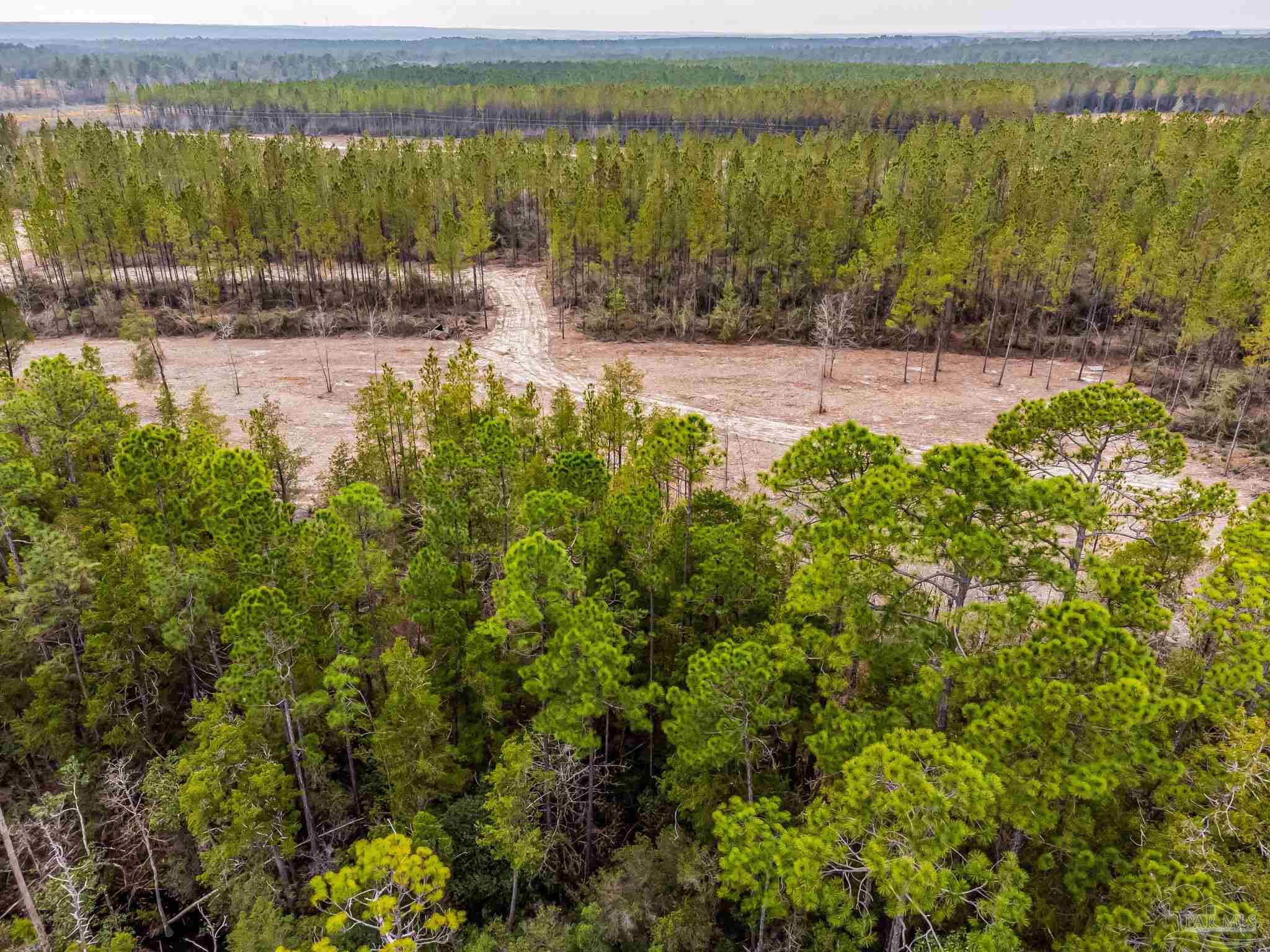8997 Indian Ford Road, Unit 44 23 ACRES Milton, FL 32570 - Photo 39 of 55 a view of lake and mountain view