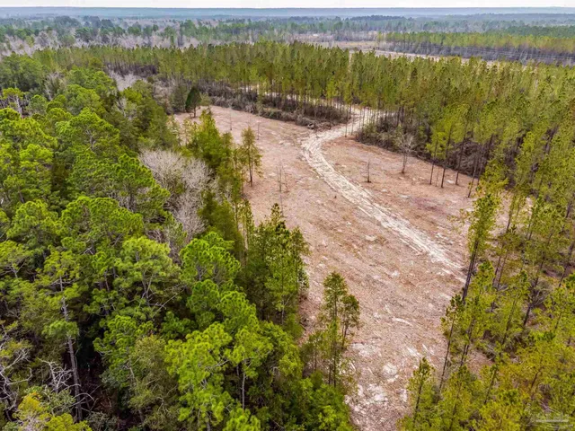 a view of dirt field with trees